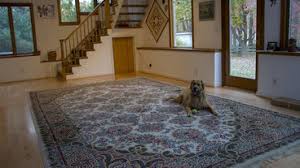 carpet installers in washington d c