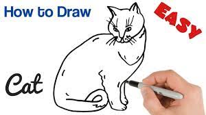 This tutorial is focused on differences between big cats. How To Draw A Cat Easy Art Tutorial For Beginners Youtube