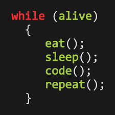 do you code on the weekend how often