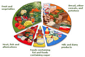 Dairy Food Calories Chart Google Search Group Meals