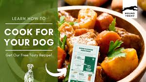 diy dog food recipe