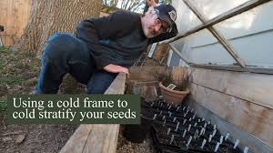winter sowing your seeds using a cold
