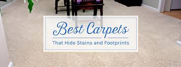 carpets that hide stains and footprints