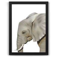 Elephant Print Safari Animals