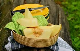 Should you let your cat eat honeydew melon? 9 Facts About Can Cats Eat Cantaloupe You Shouldn T Miss