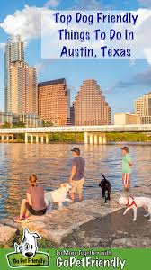 top dog friendly things to do in austin