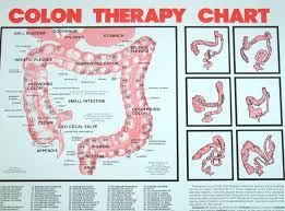 107 Chart Colon Therapy By Dr Norman Walker 1c Norman
