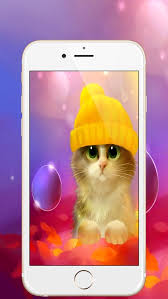 Beautiful Cat Kitty Wallpapers By Ayoub