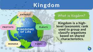 kingdom definition and exles