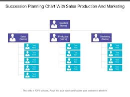 Succession Planning Chart With Sales Production And