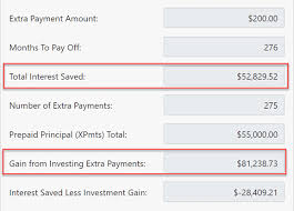 Extra Payment Calculator Is It The Right Thing To Do