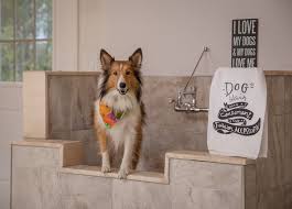 how to install a dog washing station