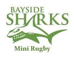 minis bayside sharks rugby