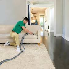 top 10 best chem dry carpet cleaners in