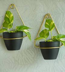 Wall Planters Buy Wall Planters