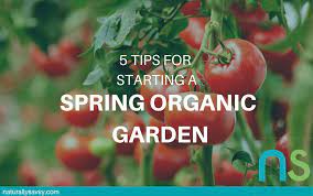 Spring Organic Garden