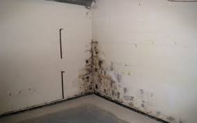 simple preventative tips to keep mold