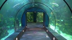aquarium improvements at moody gardens