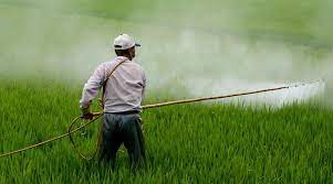 नकली कीटनाशकों का व्यापार जारी, फिर पकड़ाया दिल्ली में कारखाना