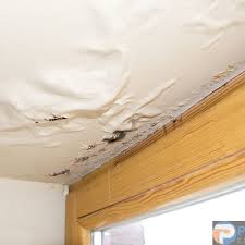 So now what do you do? What Damage Can A Leaking Roof Cause Procraft Exteriors