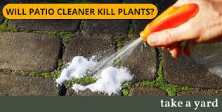 Will Patio Cleaner Kill Plants Read