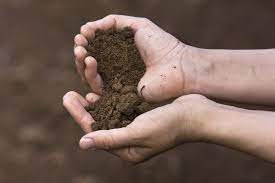 what is the importance of loam soil in