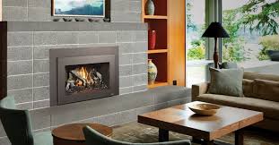 Customizable Gas Fireplace Insert 34