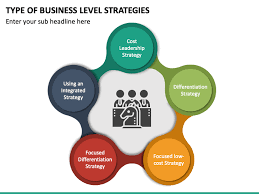 type of business level strategies