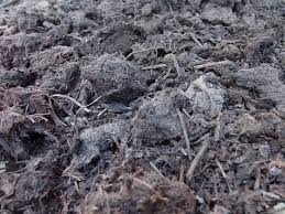 manure management 101 new life on a