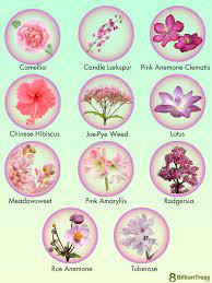 74 plants with pink flowers names