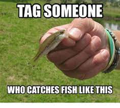 Funny Fishing Memes - **LIKE OUR PAGE** to see more Funny Fishing Memes!  #fishing #fishinglife #fishingtime | Facebook