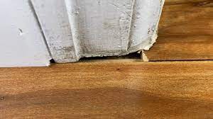 laminate vinyl or wood floor