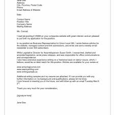     Email Cover Letter Examples