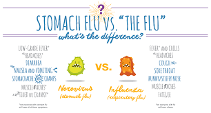 Out of the three types of influenza viruses ( a , b , and c ), influenza a virus is a zoonotic infection with a natural reservoir almost entirely in birds. Difference Between Stomach Flu Vs Flu Vessel Medical