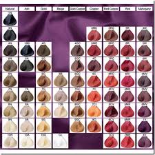 Hair Dye Color Chart Brown Dfemale Beauty Tips Skin About