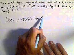 Finding A Unique 5th Degree Polynomial