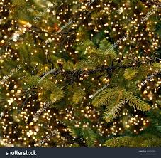 Christmas Lights Hanging Tree Stock Photo Edit Now 120594703