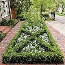 Best Boxwoods For Every Landscape And