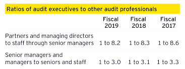 Our Commitment To Audit Quality Ernst Young Llp 2019