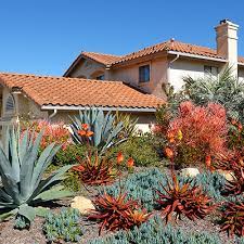 Drought Tolerant Landscaping The Home