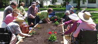 organic gardening services for s