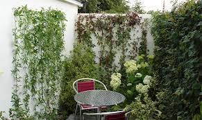 Examples Of Wire Trellis And Green