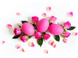 Фотографии Пасха яиц Розы Розовый Цветы белом фоне