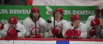 Check spelling or type a new query. How The Detroit Red Wings Are Fighting Covid 19 As Season Approaches