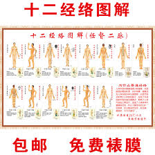 Usd 9 11 Human Body Twelve Meridians Acupuncture Points