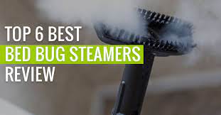 top 6 best bed bug steamers review