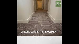 strata carpet common area replacement