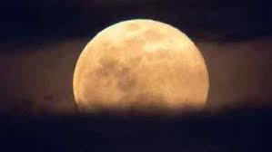 Read on to know what exactly is a pink moon. Xzq16mlmzpl14m