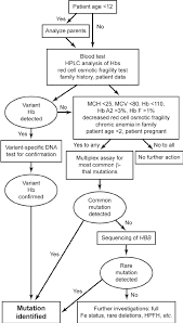 Flow Chart Of The Diagnostic Algorithm For Identifica Tion