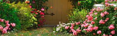 beautiful garden banners hd pictures